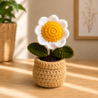 Handmade Crochet Daisy Flower Pot